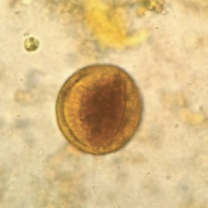 Captura de pantalla 2025-09-04 a la(s) 4.03.38 p.m.