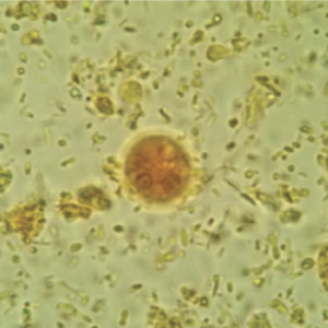 Captura de pantalla 2025-09-04 a la(s) 4.04.38 p.m.