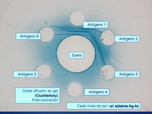 slide_66 slide_66